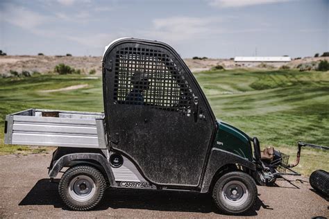 Can You Drive Golf Carts on the Road in Florida? And Why Do They Always Seem to Have a Secret Agenda?