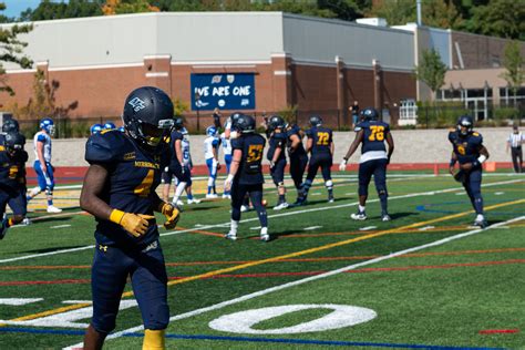 Is Clarke University Football D1? Exploring the Intersection of Athletics, Academics, and Ambition